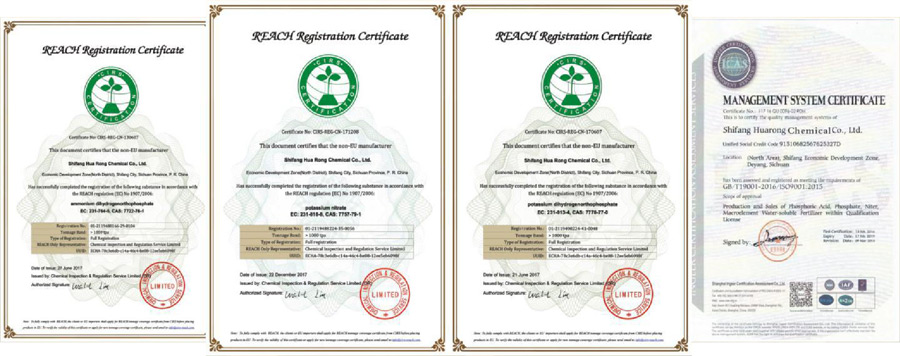 15555561103400.jpg company_06.jpg